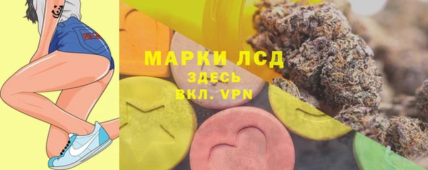 стафф Богданович