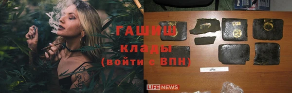 стафф Богданович