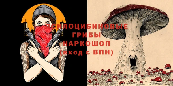 винт Богородицк