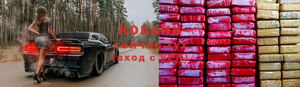 стафф Богданович